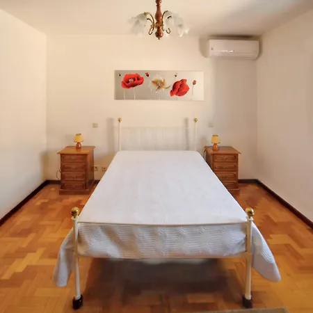 Spacious House In Santa Maria Da Feira - 220 M² With View Vakantiehuis Aveiro
